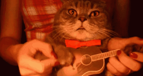 Animación de ukelele